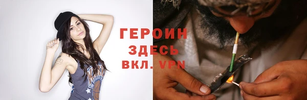 мдпв Ладушкин