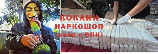 мет Лагань