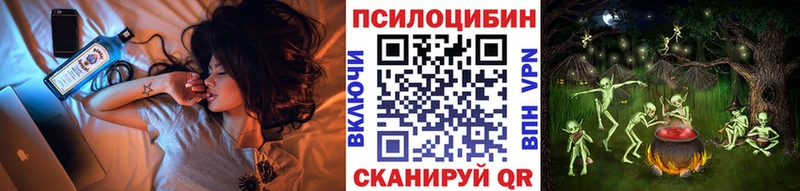 Галлюциногенные грибы Cubensis  Кяхта 